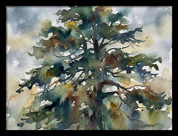 Cedar Tree Tranquility