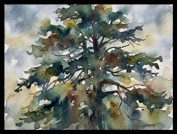 Cedar Tree Tranquility