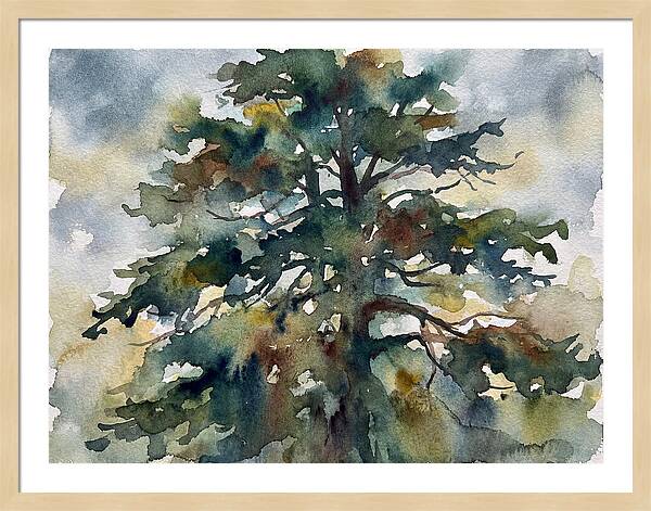 Cedar Tree Tranquility