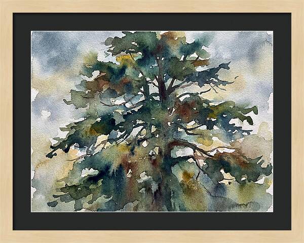 Cedar Tree Tranquility