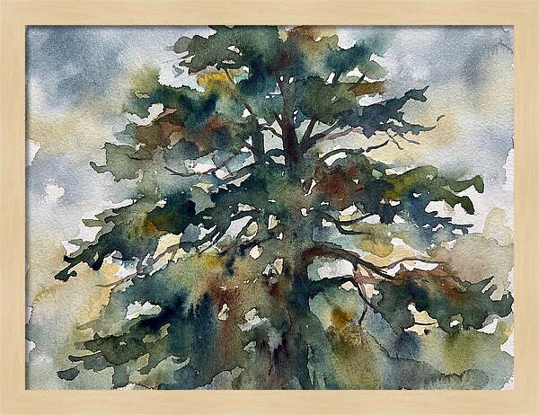 Cedar Tree Tranquility