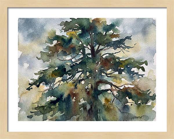 Cedar Tree Tranquility