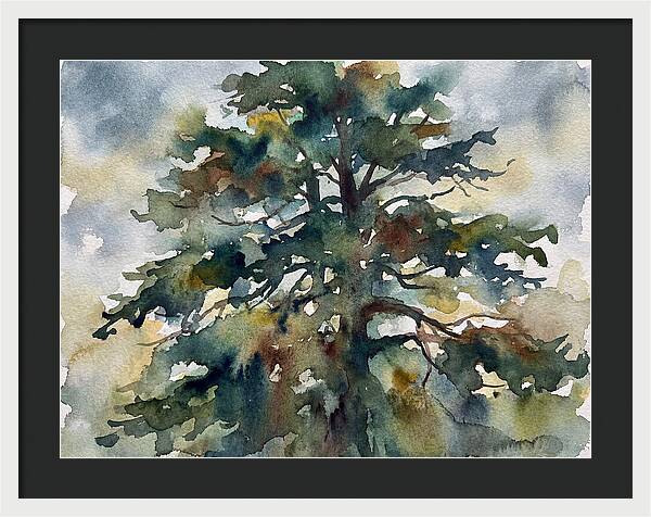 Cedar Tree Tranquility