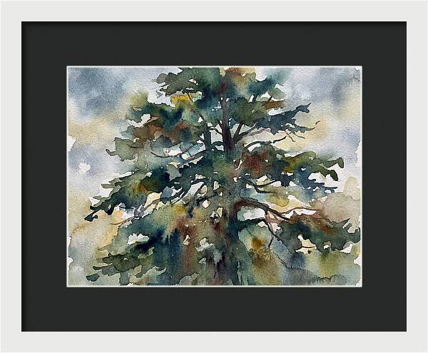Cedar Tree Tranquility