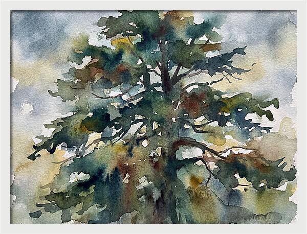 Cedar Tree Tranquility