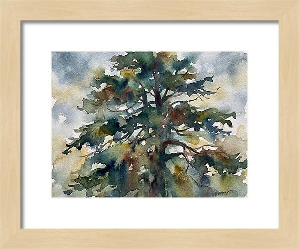 Cedar Tree Tranquility