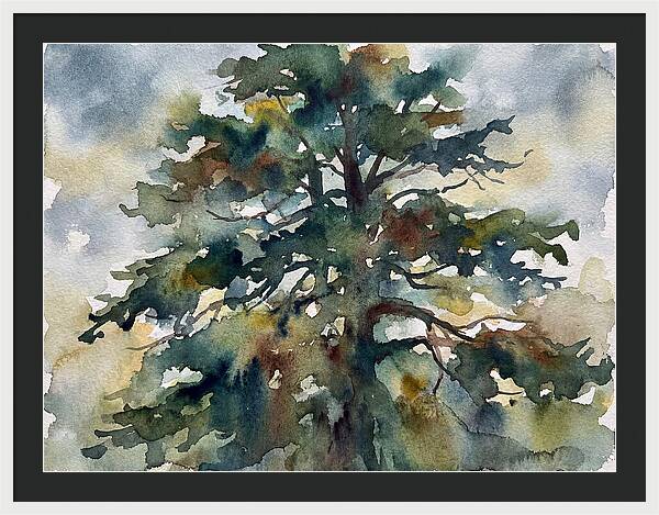 Cedar Tree Tranquility