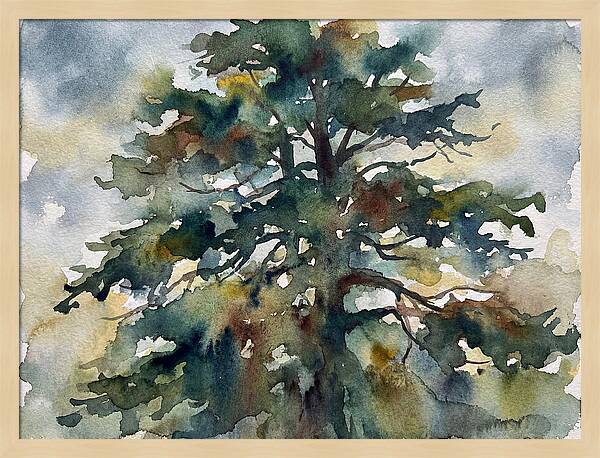 Cedar Tree Tranquility