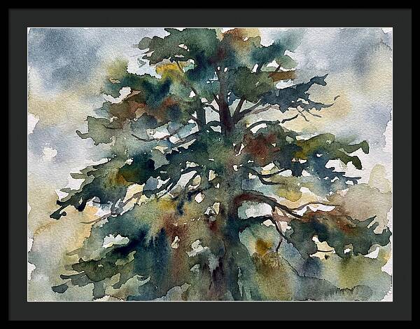 Cedar Tree Tranquility