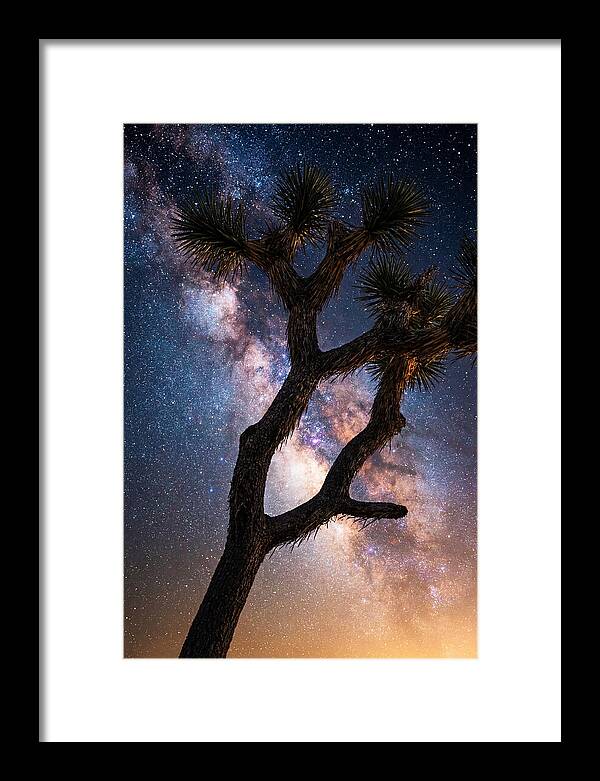 Celestial Calm Over Joshua Tree