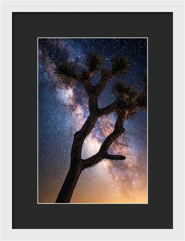 Celestial Calm Over Joshua Tree
