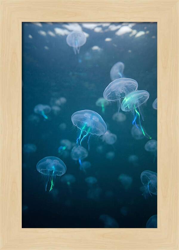 Celestial Dance Of Jellyfish
