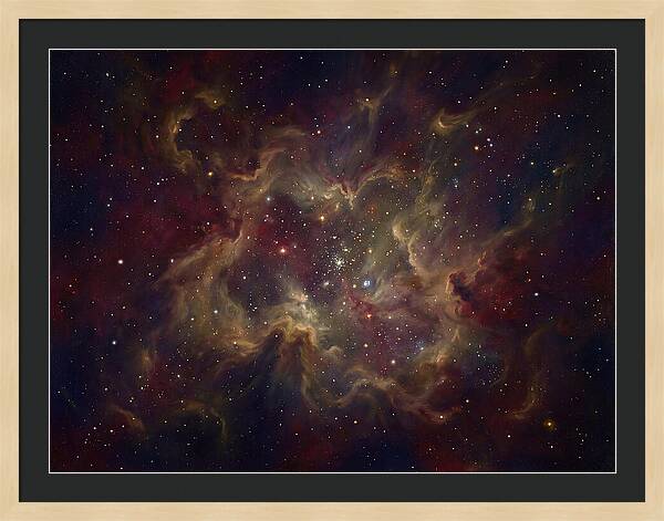 Celestial Dreams Unveiled