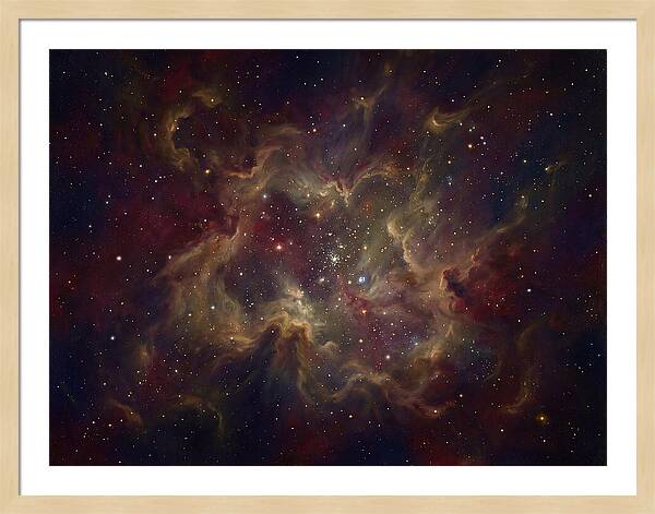 Celestial Dreams Unveiled