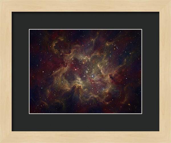 Celestial Dreams Unveiled
