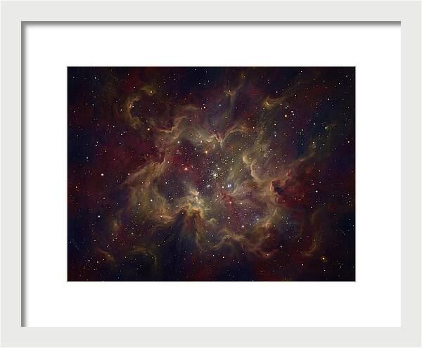 Celestial Dreams Unveiled