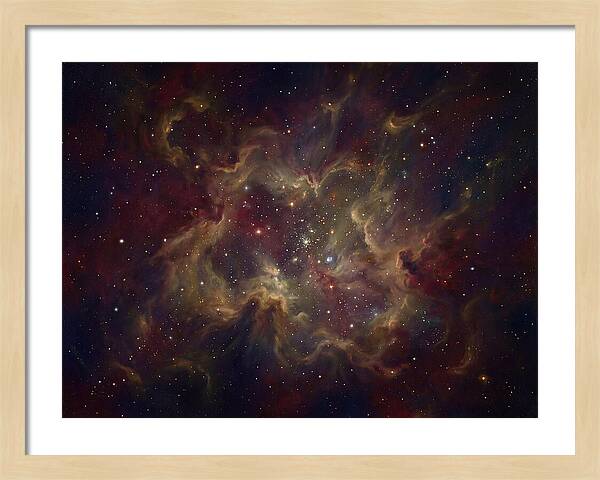 Celestial Dreams Unveiled