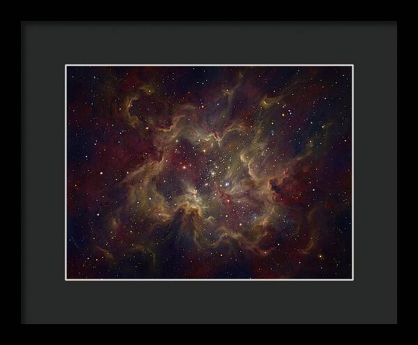 Celestial Dreams Unveiled