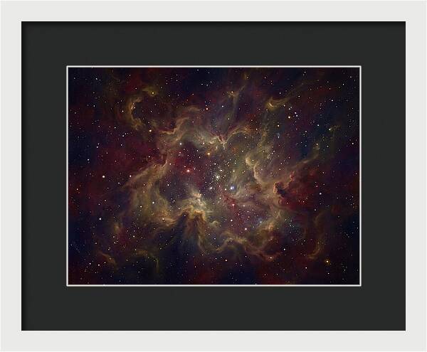 Celestial Dreams Unveiled