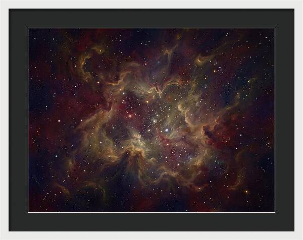 Celestial Dreams Unveiled