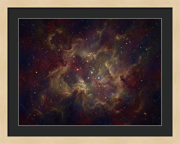 Celestial Dreams Unveiled