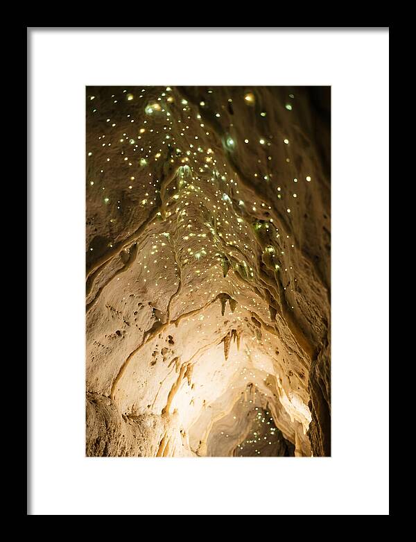 Celestial Glow Of Waitomo Caves