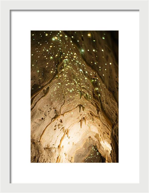 Celestial Glow Of Waitomo Caves