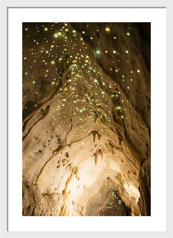 Celestial Glow Of Waitomo Caves