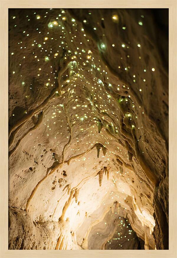 Celestial Glow Of Waitomo Caves