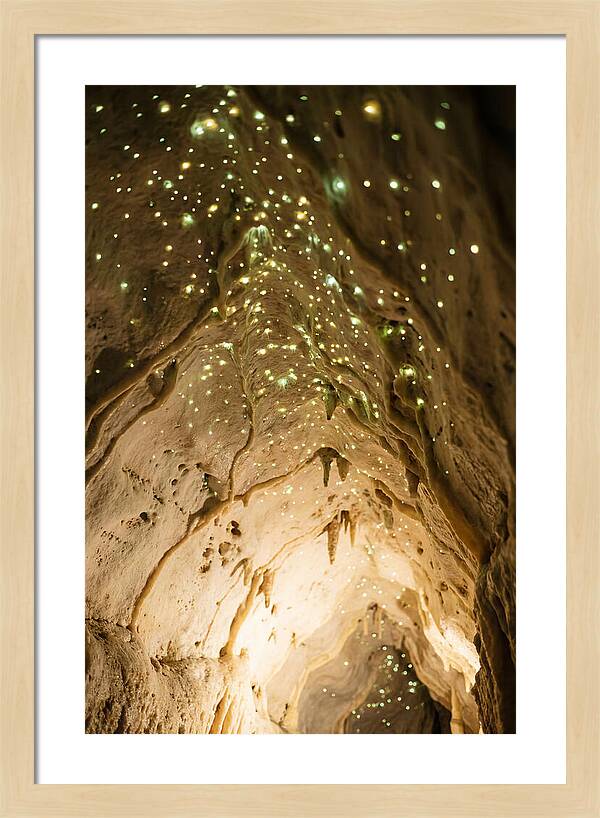 Celestial Glow Of Waitomo Caves