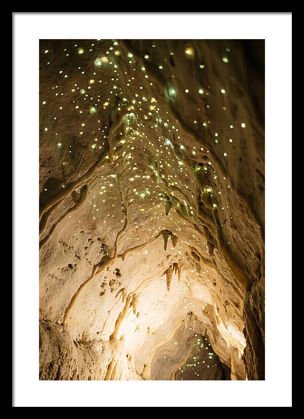 Celestial Glow Of Waitomo Caves