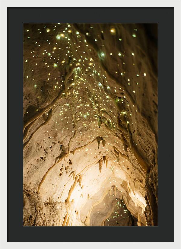 Celestial Glow Of Waitomo Caves
