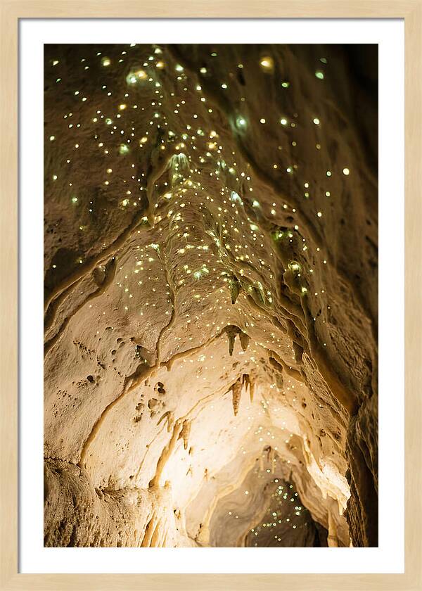 Celestial Glow Of Waitomo Caves