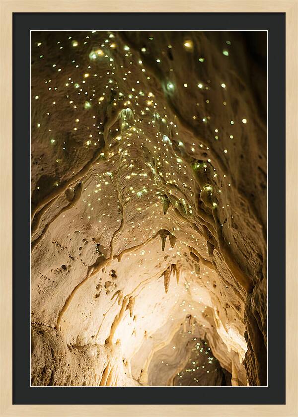 Celestial Glow Of Waitomo Caves