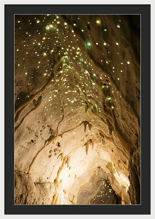 Celestial Glow Of Waitomo Caves