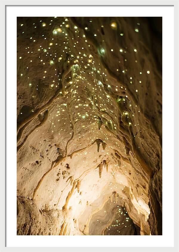 Celestial Glow Of Waitomo Caves