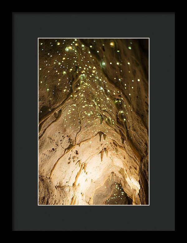 Celestial Glow Of Waitomo Caves