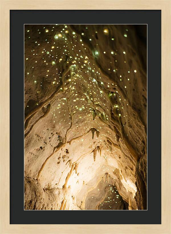 Celestial Glow Of Waitomo Caves