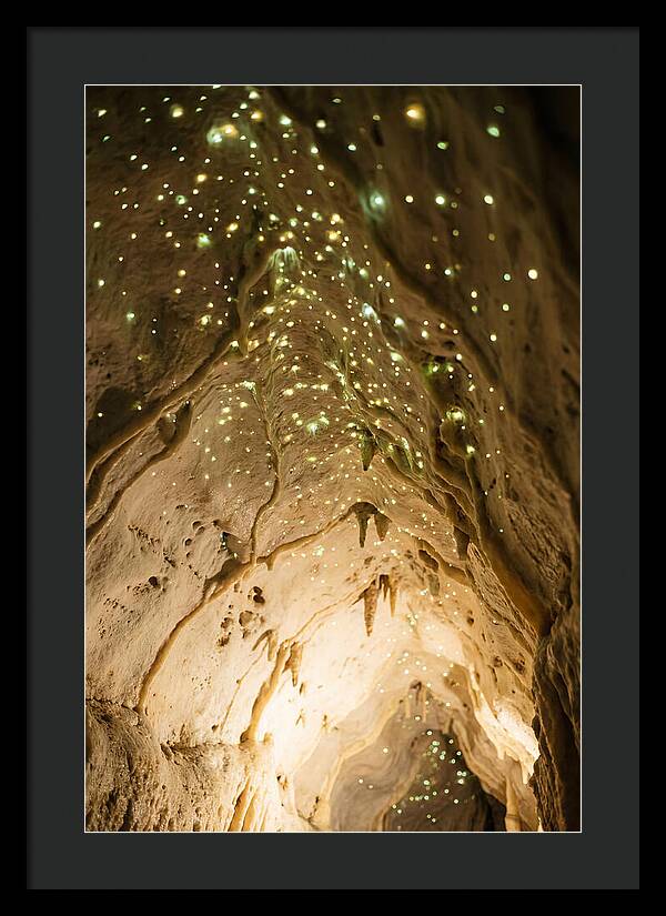Celestial Glow Of Waitomo Caves