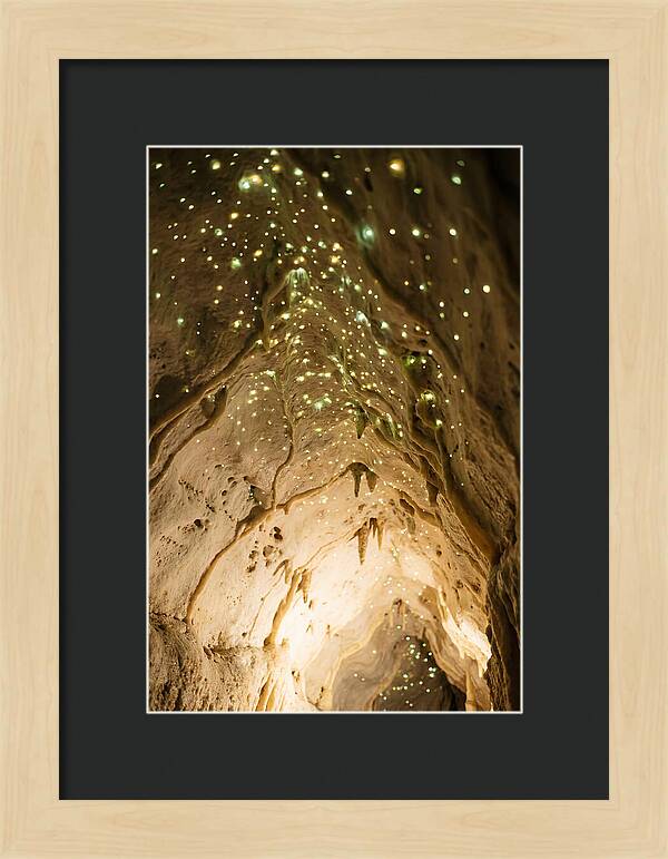 Celestial Glow Of Waitomo Caves