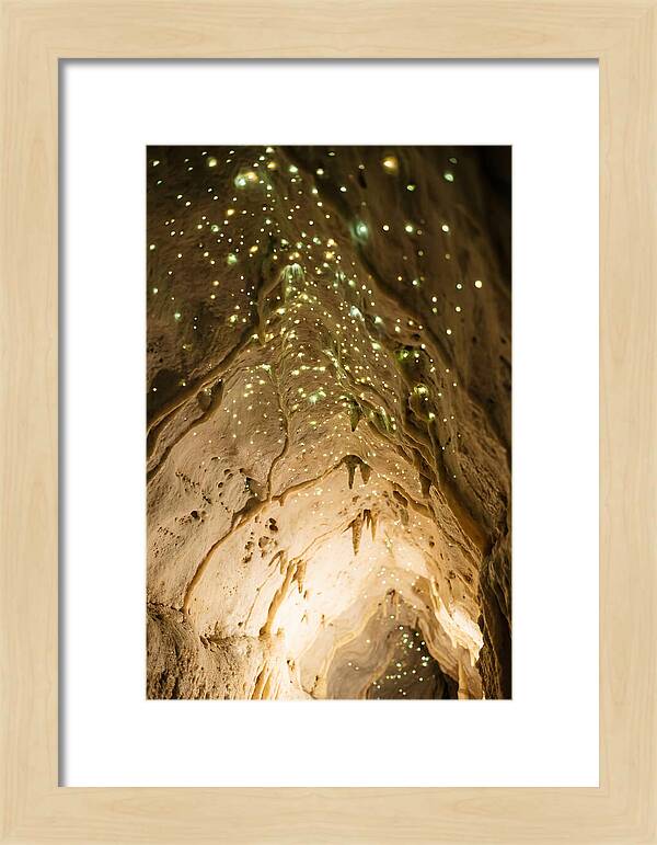 Celestial Glow Of Waitomo Caves