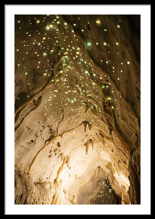 Celestial Glow Of Waitomo Caves