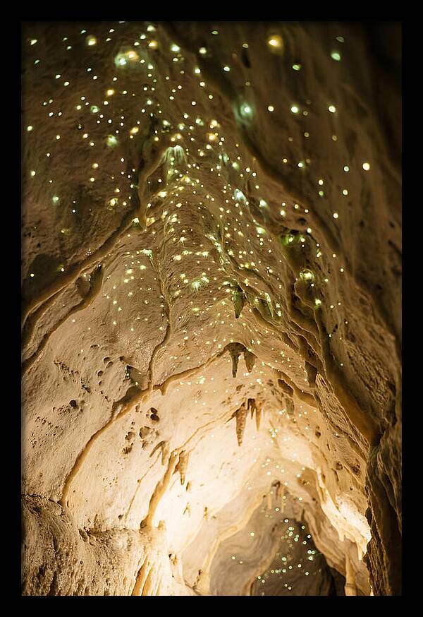 Celestial Glow Of Waitomo Caves
