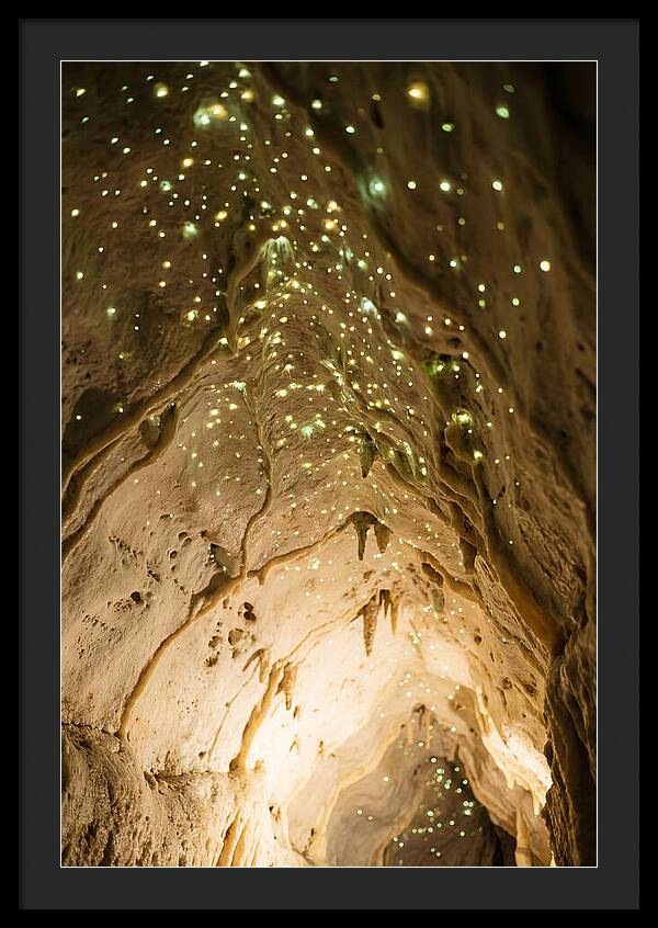 Celestial Glow Of Waitomo Caves