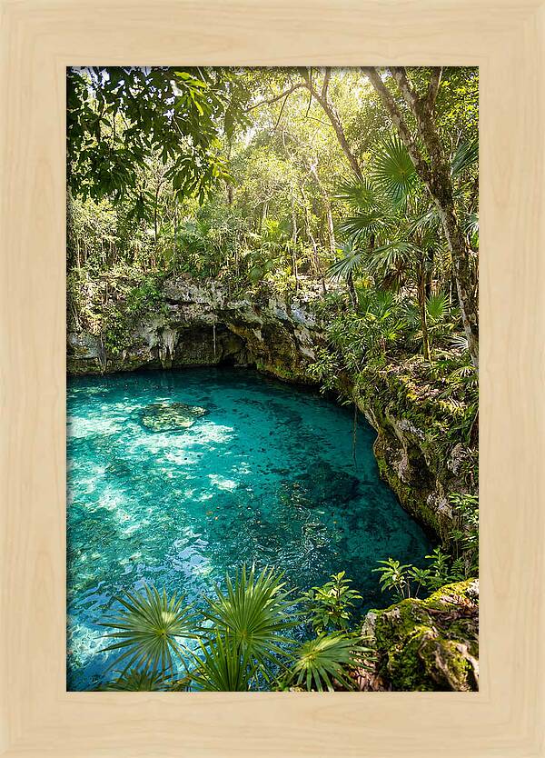 Cenote Crystal Oasis