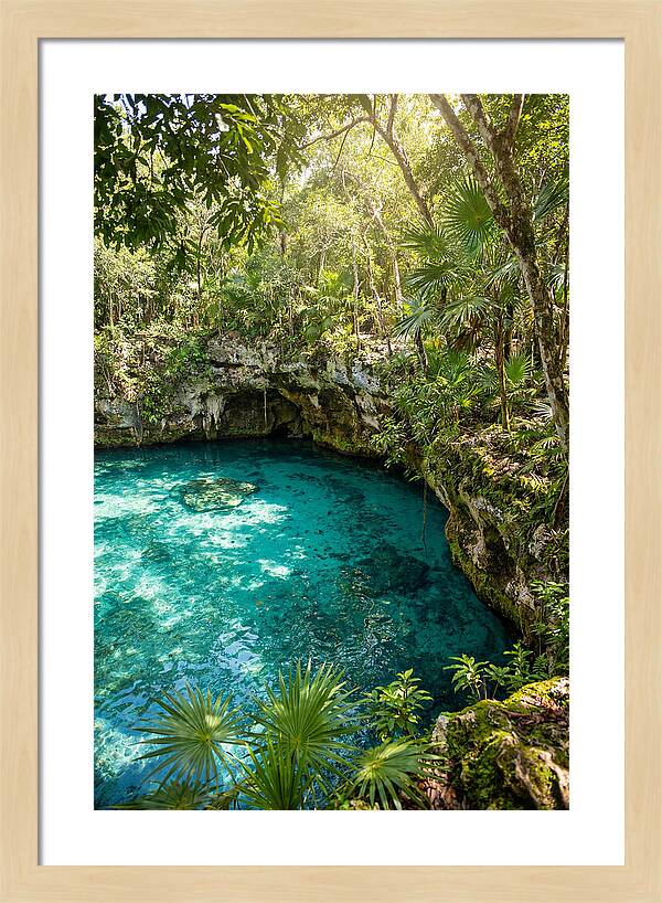 Cenote Crystal Oasis