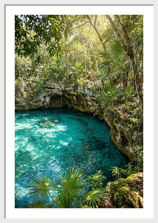 Cenote Crystal Oasis