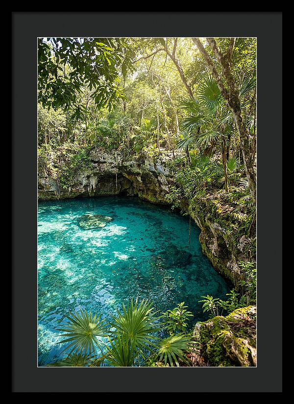 Cenote Crystal Oasis
