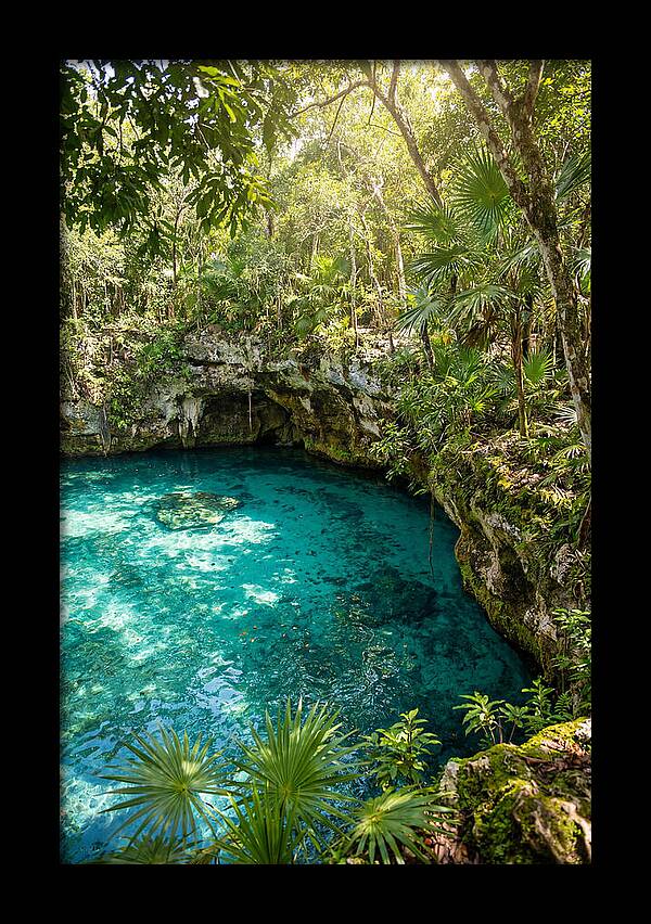 Cenote Crystal Oasis