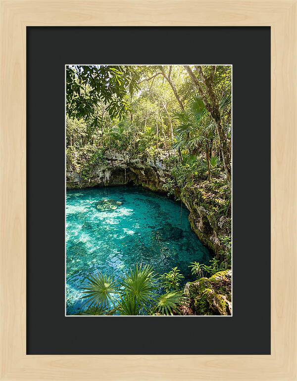 Cenote Crystal Oasis